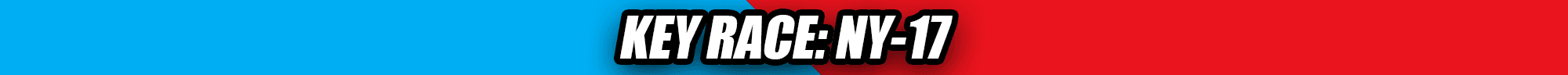 Key Race: NY-17